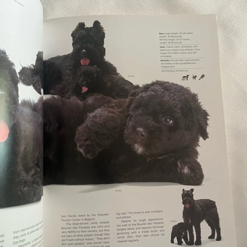 Legacy of the Puppy Book